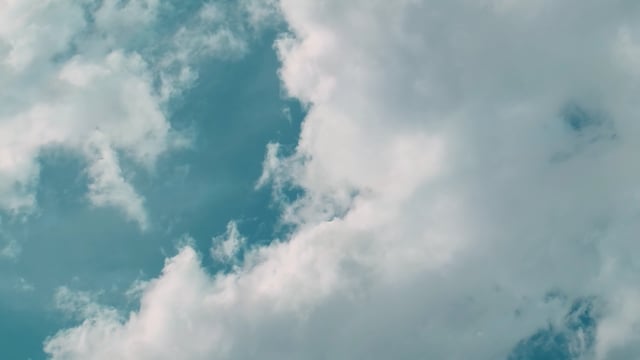 起名字2023起名女孩高分 起名字2023起名女孩高分