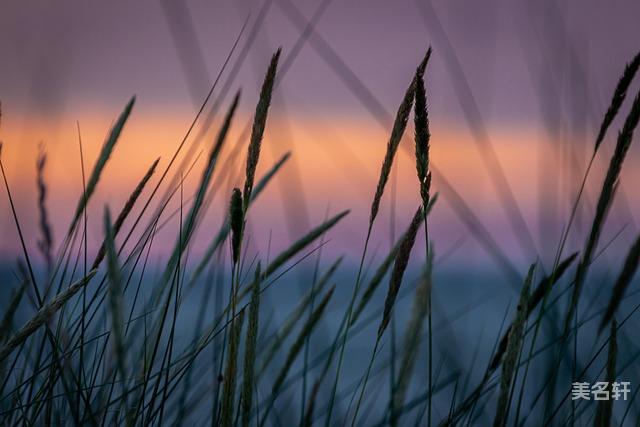 顾姓男孩名字楚辞 最好听有诗意的顾姓名字