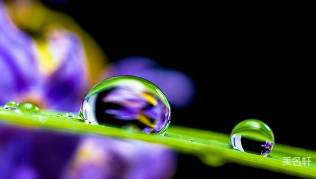 谢姓男孩名字楚辞 最好听有诗意的谢姓名字