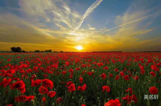 薛姓男孩名字简单大气