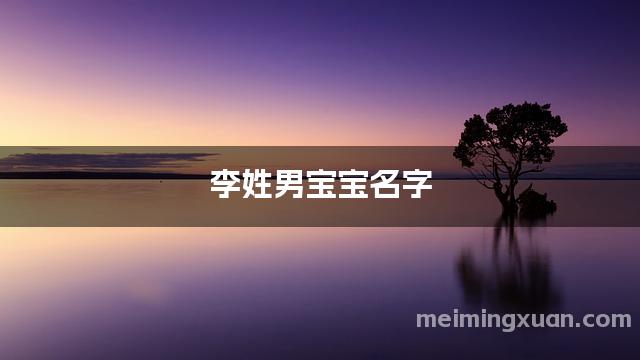 李姓男宝宝名字
