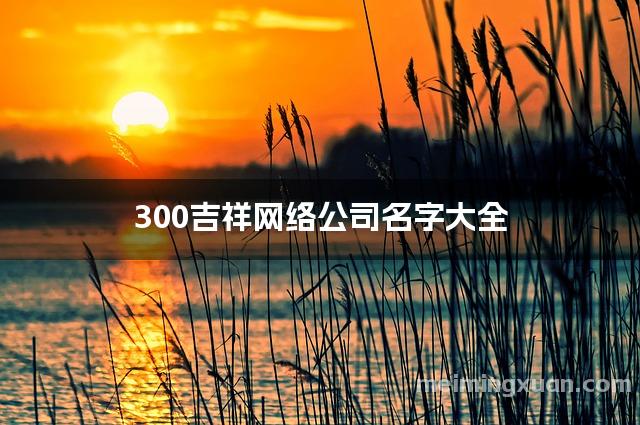 300吉祥网络公司名字大全