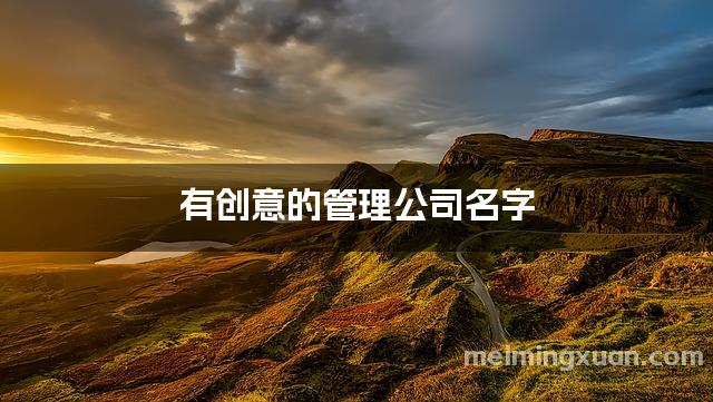 有创意的管理公司名字