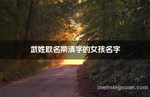 武姓取名带清字的女孩名字