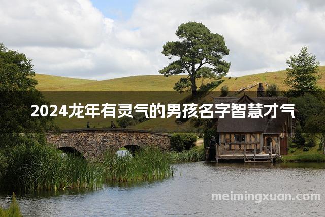 2024龙年有灵气的男孩名字智慧才气