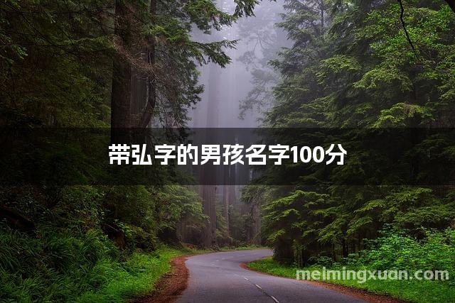 带弘字的男孩名字100分