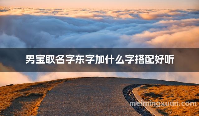 男宝取名字东字加什么字搭配好听