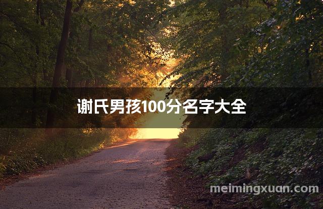 谢氏男孩100分名字大全