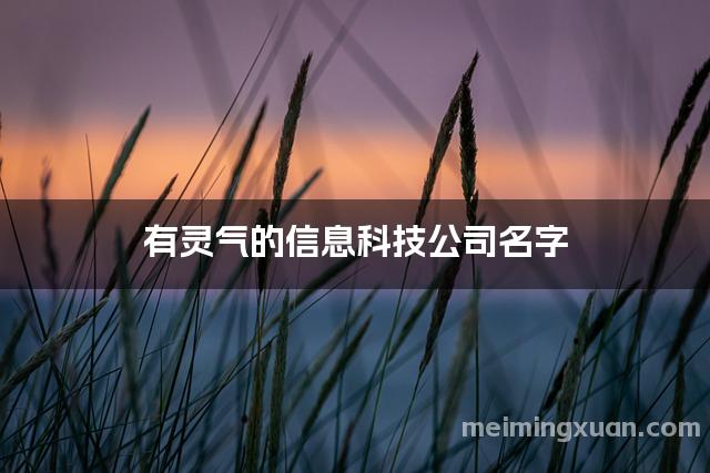 有灵气的信息科技公司名字