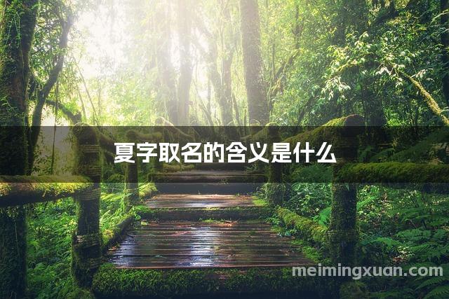 夏字取名的含义是什么