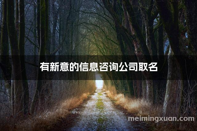 有新意的信息咨询公司取名