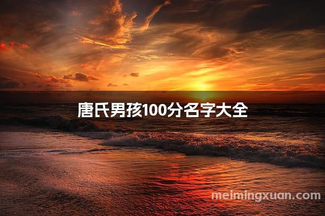 唐氏男孩100分名字大全