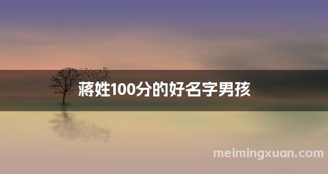 蒋姓100分的好名字男孩