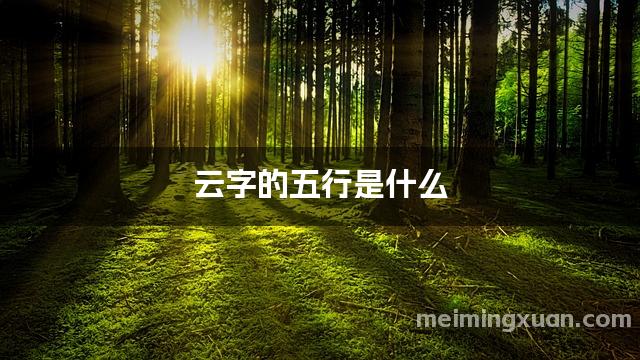 云字的五行是什么