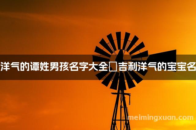 洋气的谭姓男孩名字大全	吉利洋气的宝宝名