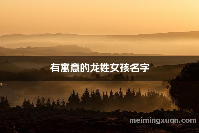 有寓意的龙姓女孩名字