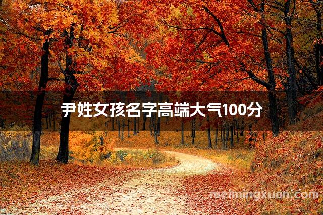 尹姓女孩名字高端大气100分