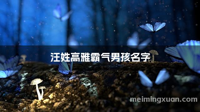 汪姓高雅霸气男孩名字