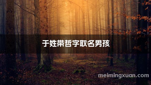 于姓带哲字取名男孩