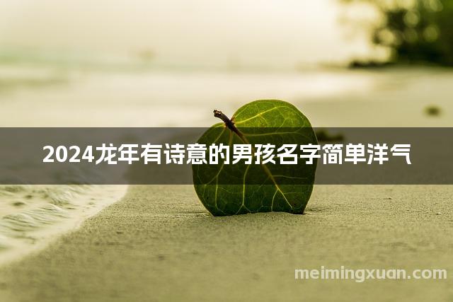 2024龙年有诗意的男孩名字简单洋气