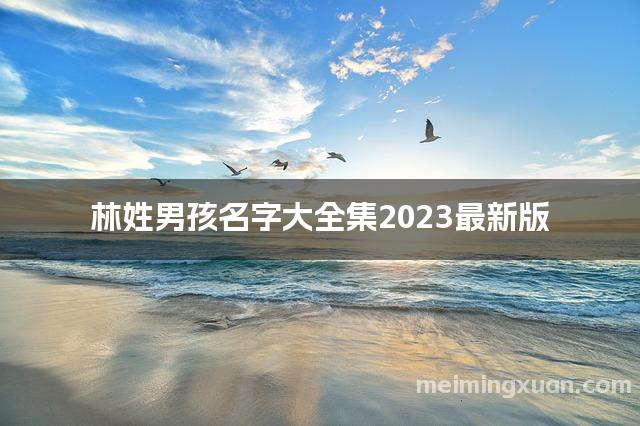林姓男孩名字大全集2023最新版