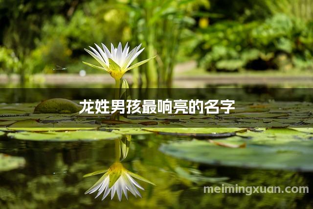 龙姓男孩最响亮的名字