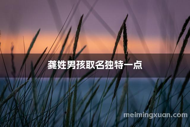 龚姓男孩取名独特一点