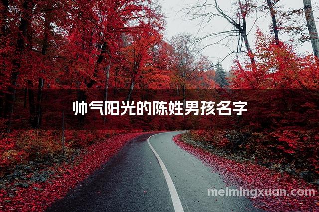 帅气阳光的陈姓男孩名字