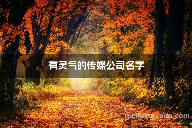 有灵气的传媒公司名字