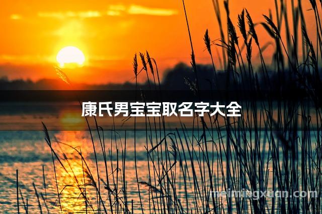 康氏男宝宝取名字大全