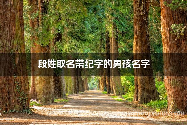 段姓取名带纪字的男孩名字