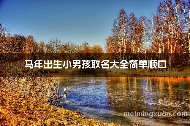 马年出生小男孩取名大全简单顺口